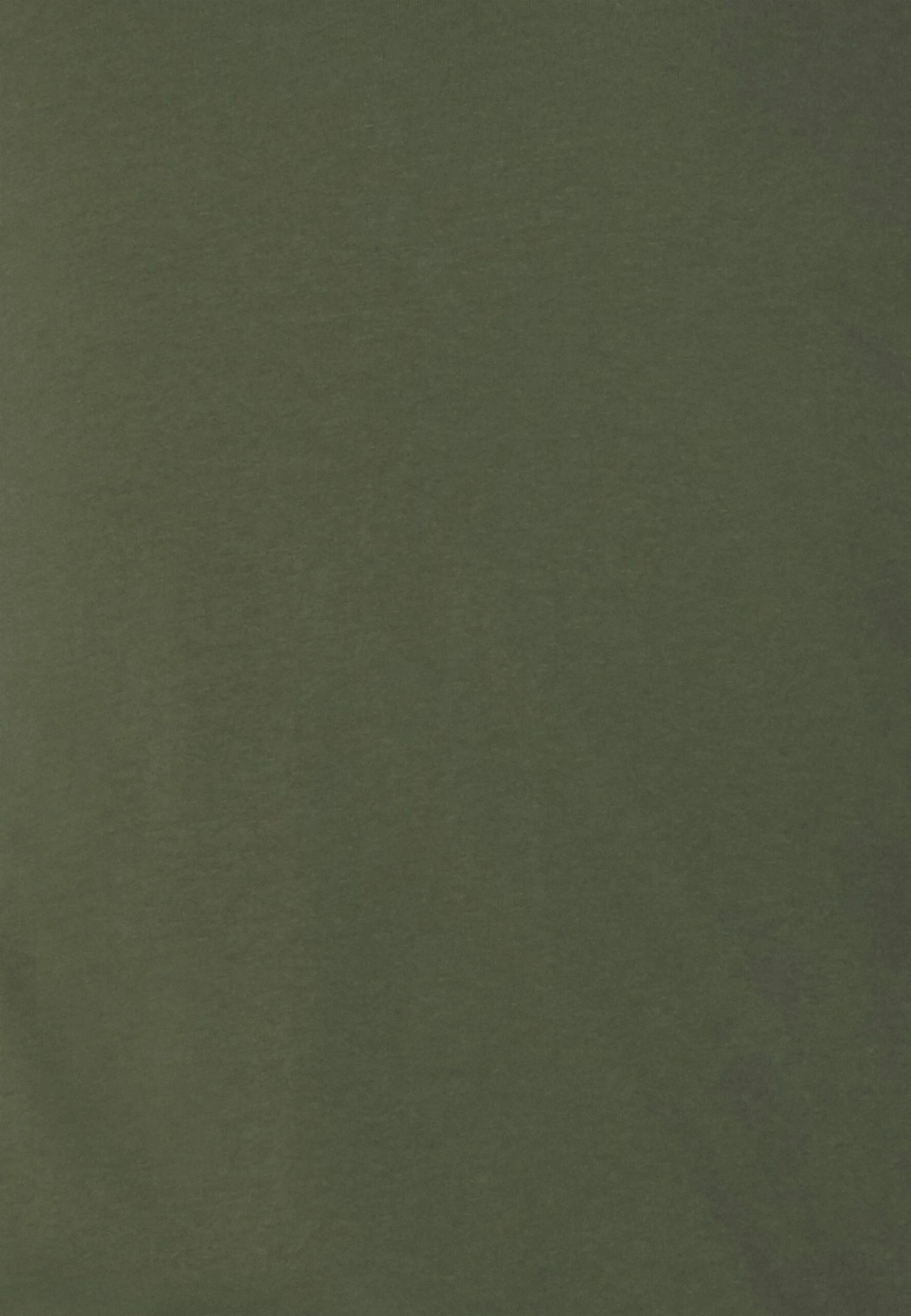 Pier One 2 Pack - Long Sleeved Top - Off-White/Dark Green 6 Pier One 2 Pack - Long Sleeved Top - Off-White/Dark Green - Image 6