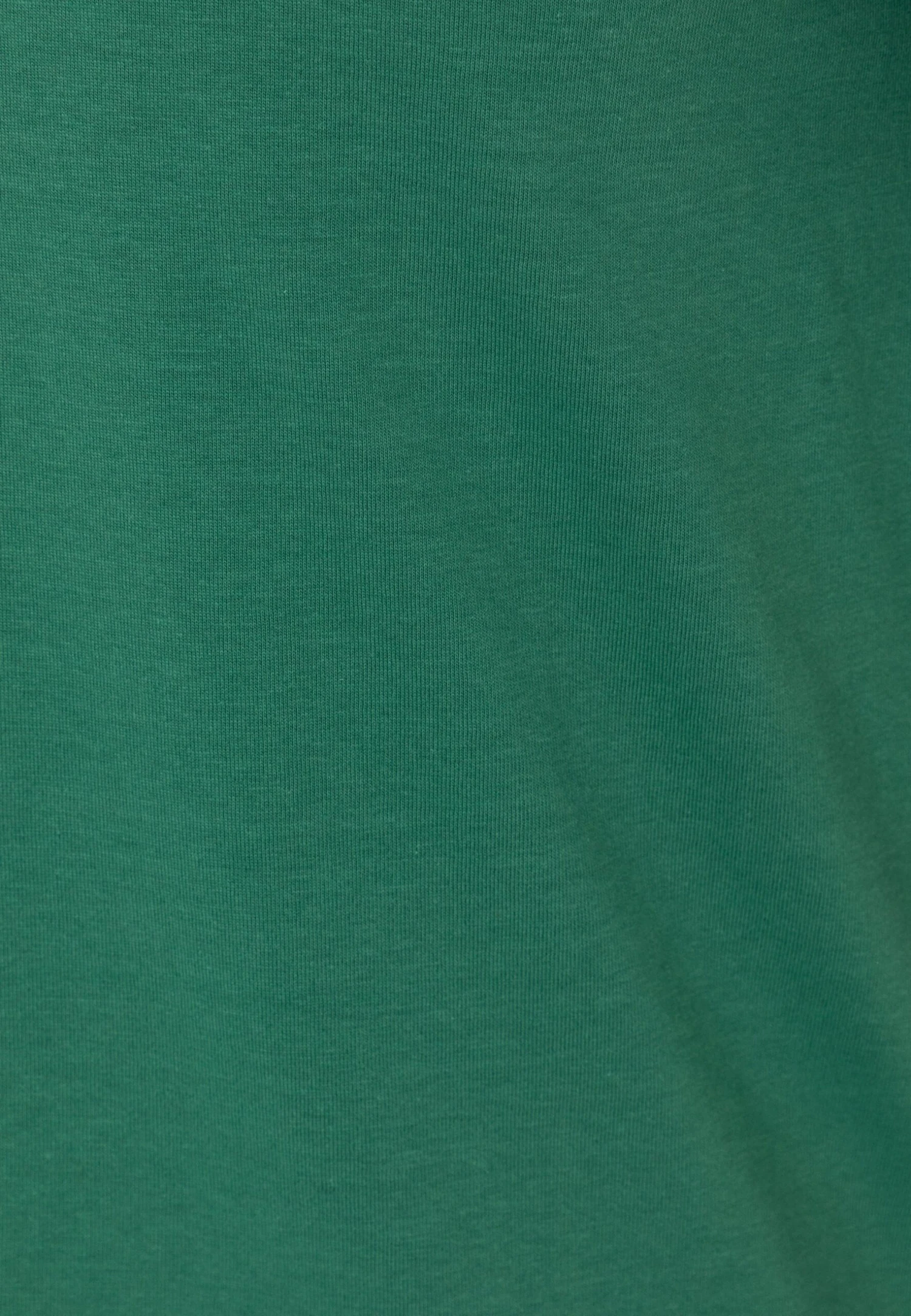 Pier One 7 Pack - Basic T-Shirt - Blue/Mottled Bordeaux/White 12 Pier One 7 Pack - Basic T-Shirt - Blue/Mottled Bordeaux/White - Image 12